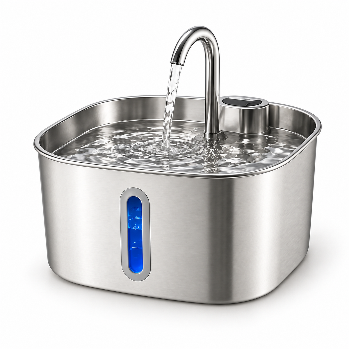 Fontaine à eau en inox 2,2 L avec fenêtre de niveau